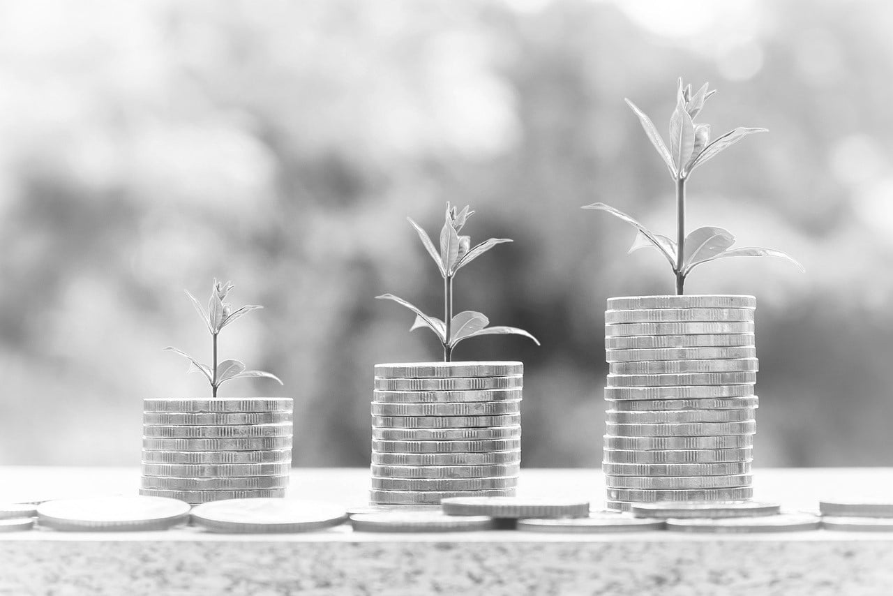 Investing: What Should I Look Out For?