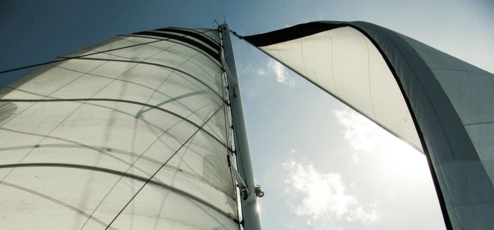 Costs or Return? Which Is More Important?