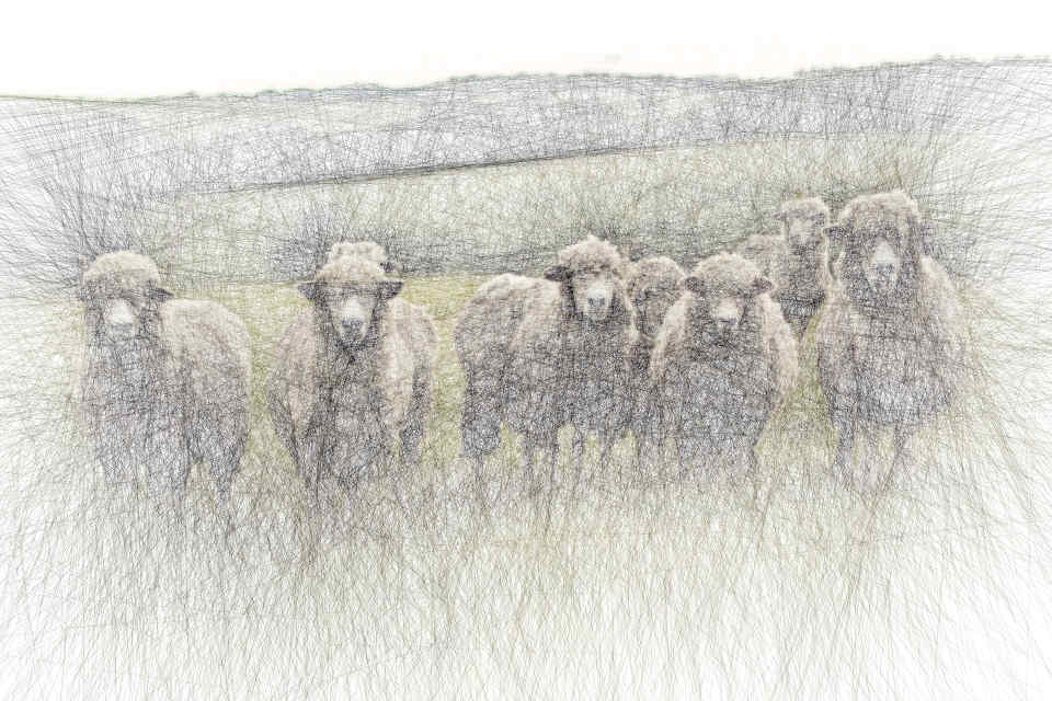 The Contempt for Private Banking Clients